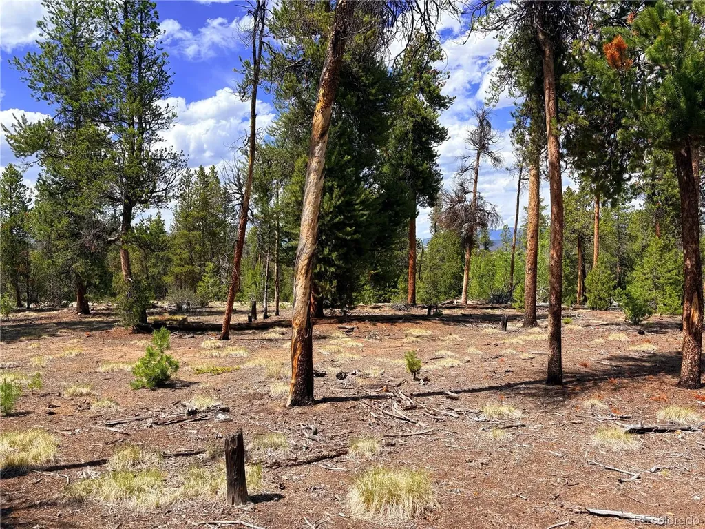 360 Lodgepole Drive Leadville CO 80461