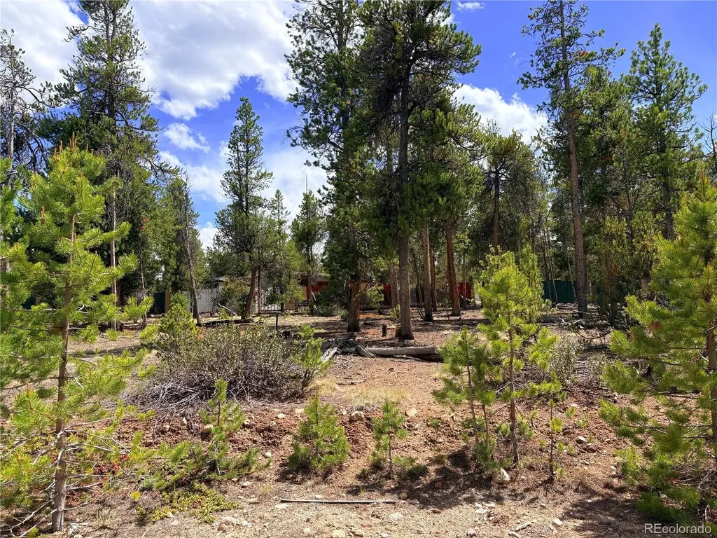 360 Lodgepole Drive Leadville CO 80461
