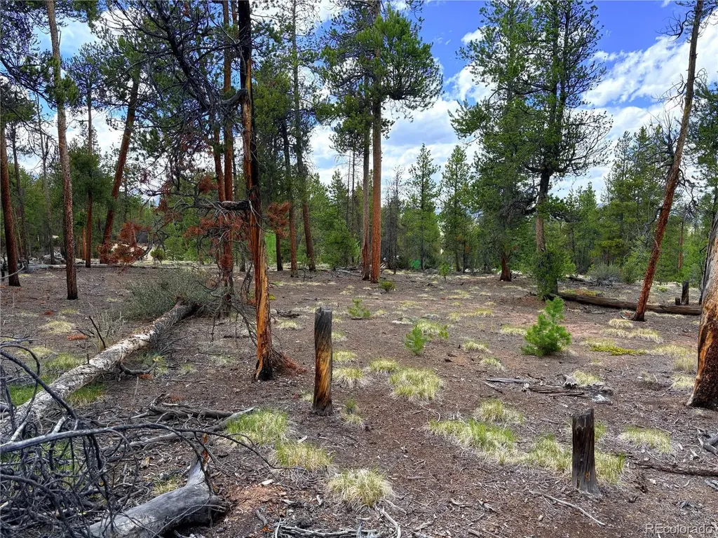 360 Lodgepole Drive Leadville CO 80461
