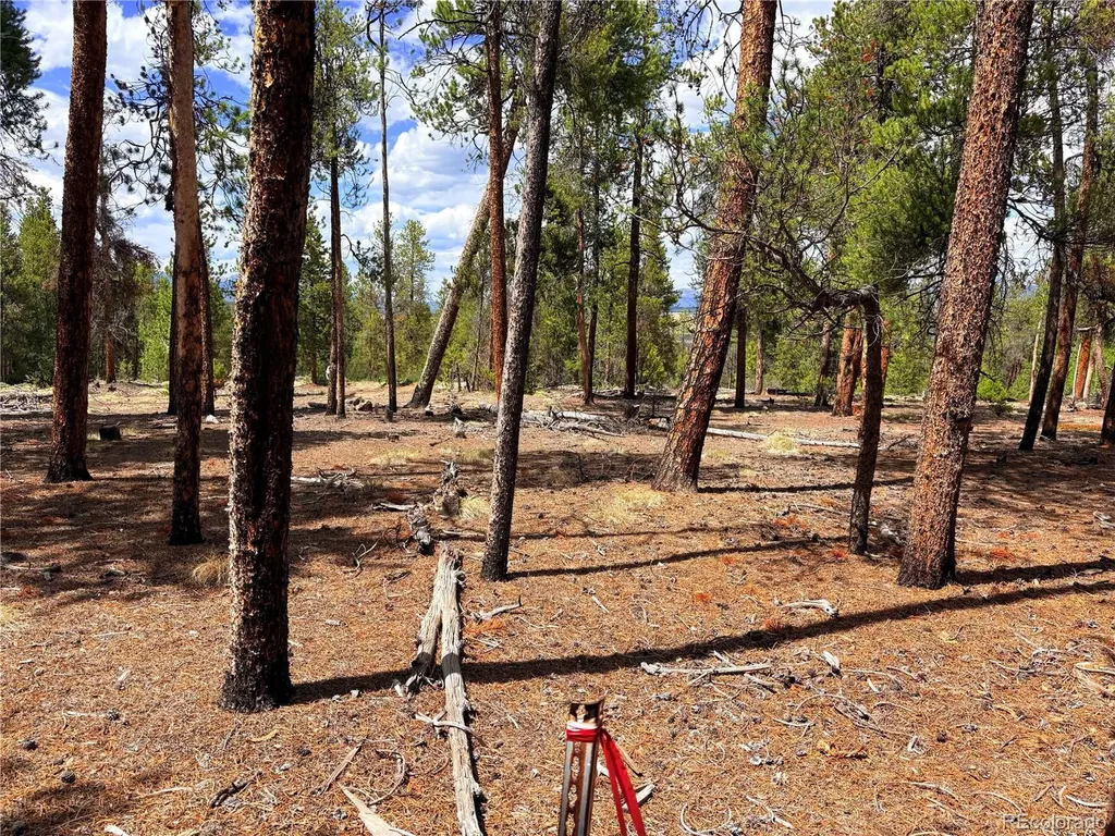 360 Lodgepole Drive Leadville CO 80461