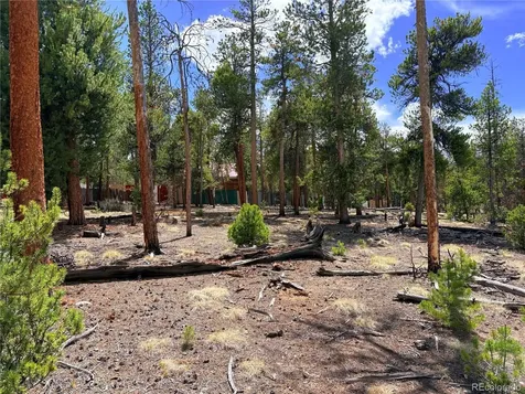 360 Lodgepole Drive Leadville CO 80461
