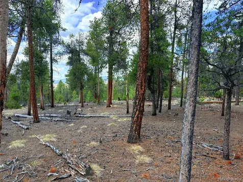 360 Lodgepole Drive Leadville CO 80461
