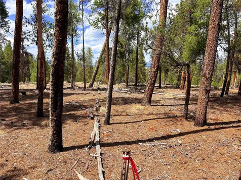 360 Lodgepole Drive Leadville CO 80461