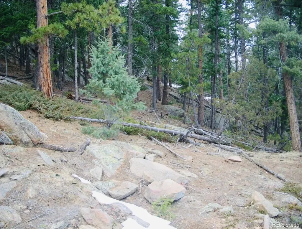 22076 High Springs Trail Morrison CO 80465