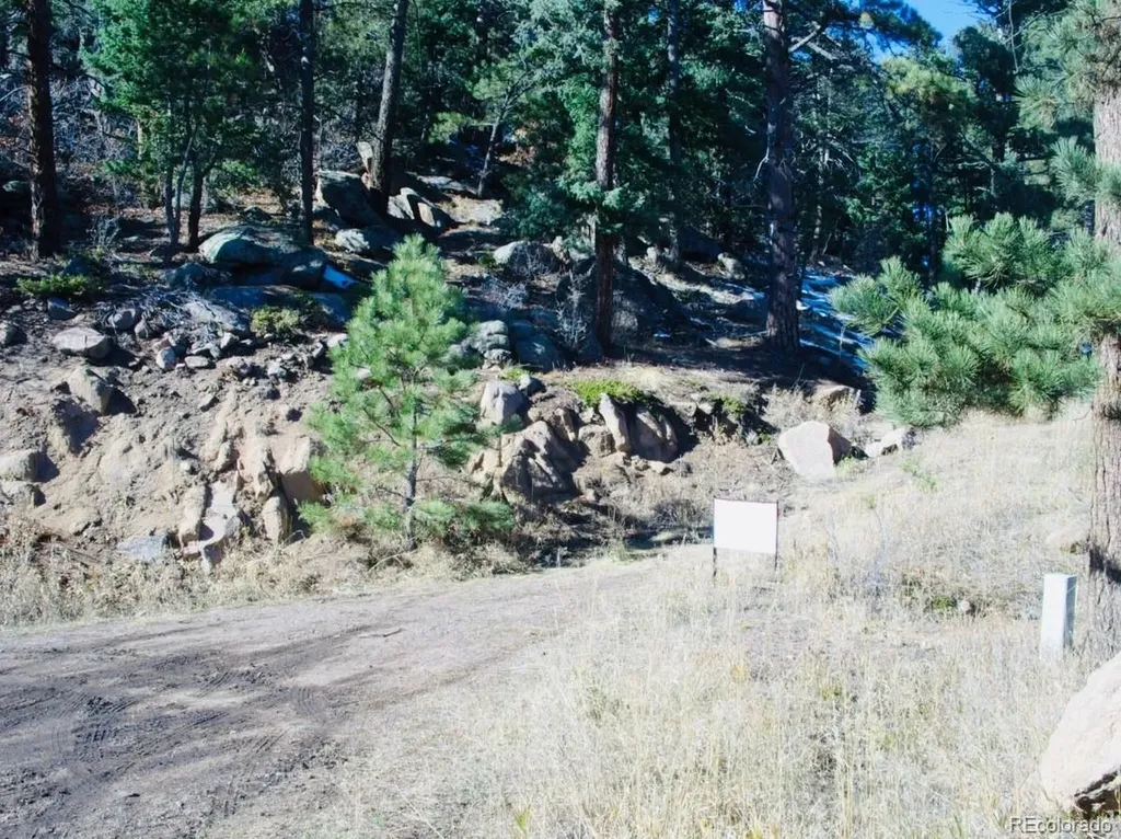 22076 High Springs Trail Morrison CO 80465