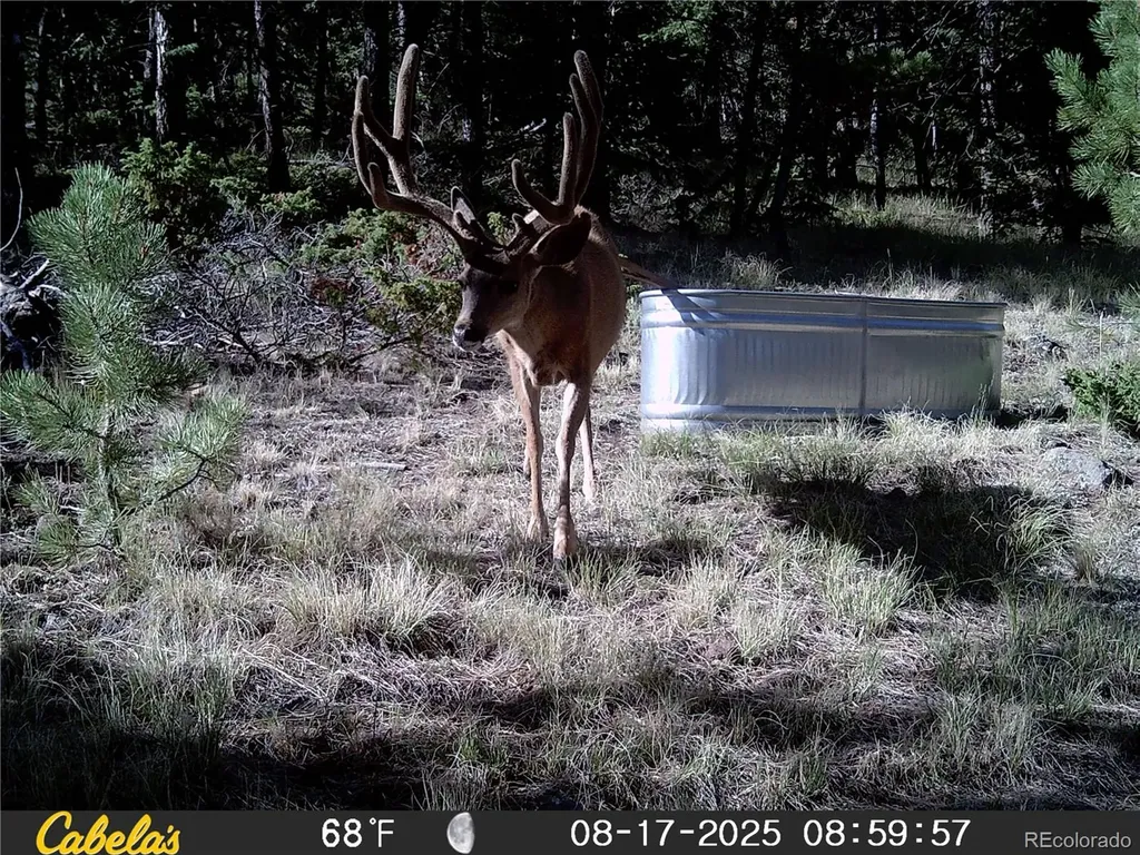 9100 County Road 102 Guffey CO 80820