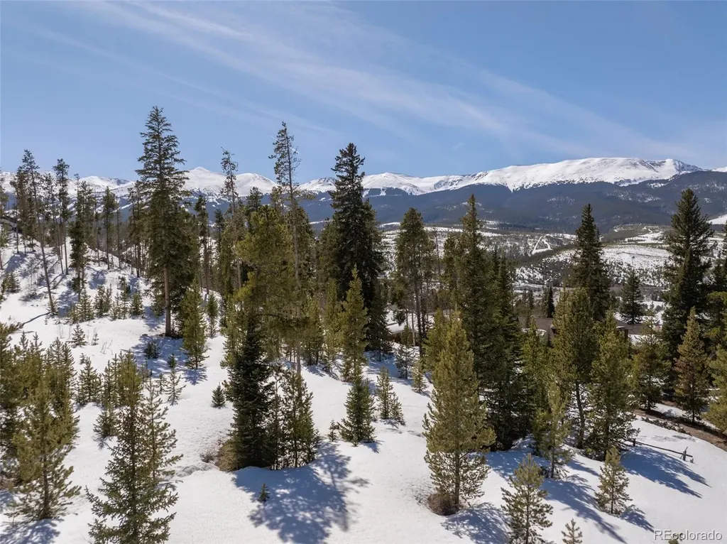203 Spalding Terrace Breckenridge CO 80424