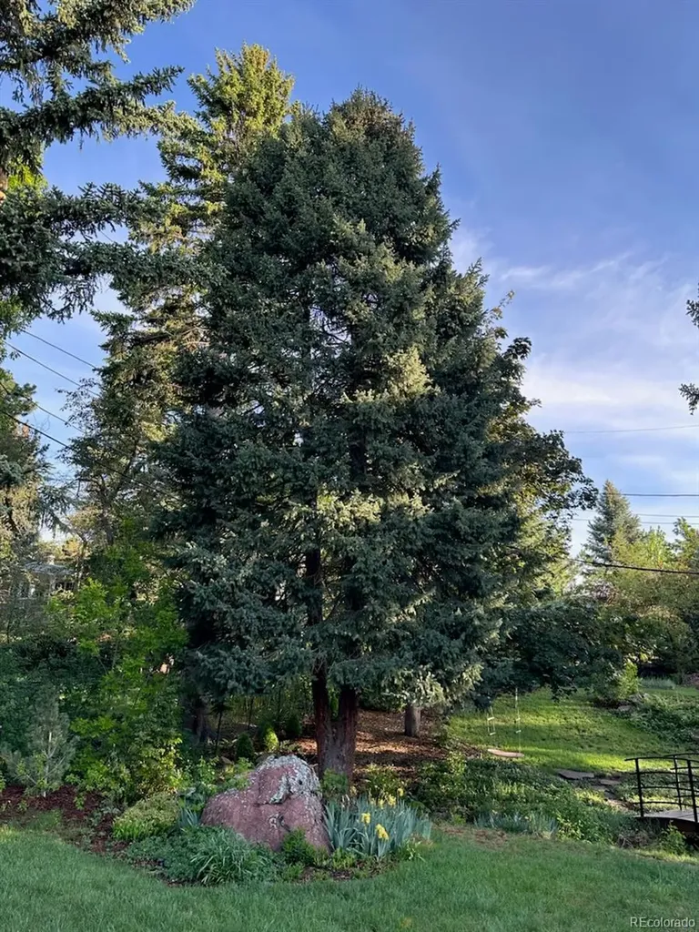 1333 Mariposa Avenue Boulder CO 80302