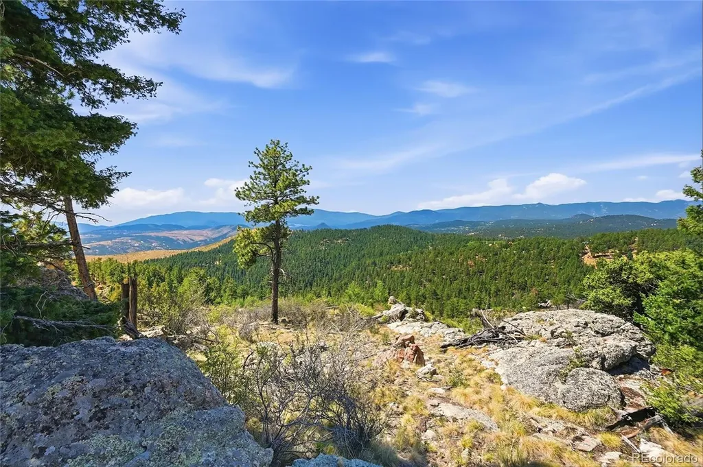 33550 Mount Wilson Road Pine CO 80470