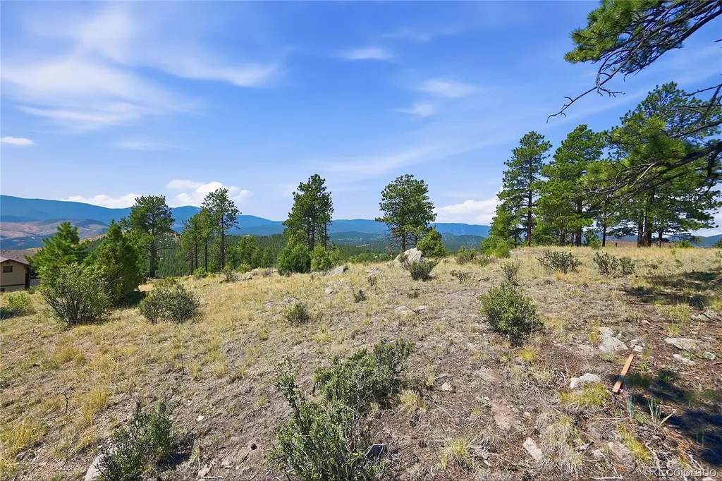 33550 Mount Wilson Road Pine CO 80470