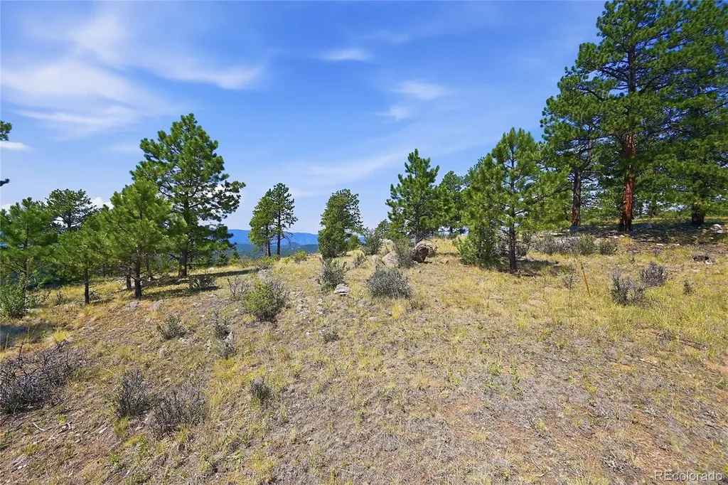 33550 Mount Wilson Road Pine CO 80470