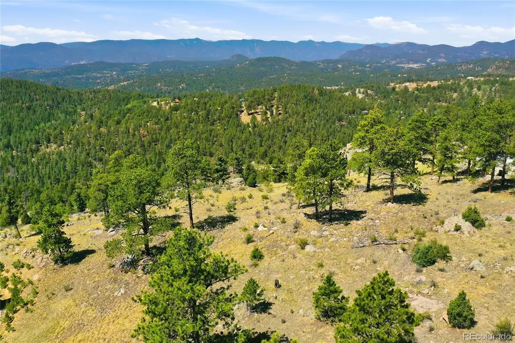 33550 Mount Wilson Road Pine CO 80470