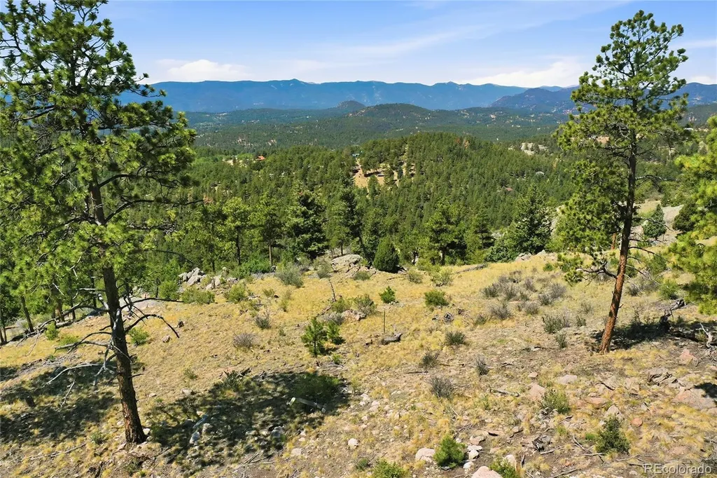 33550 Mount Wilson Road Pine CO 80470