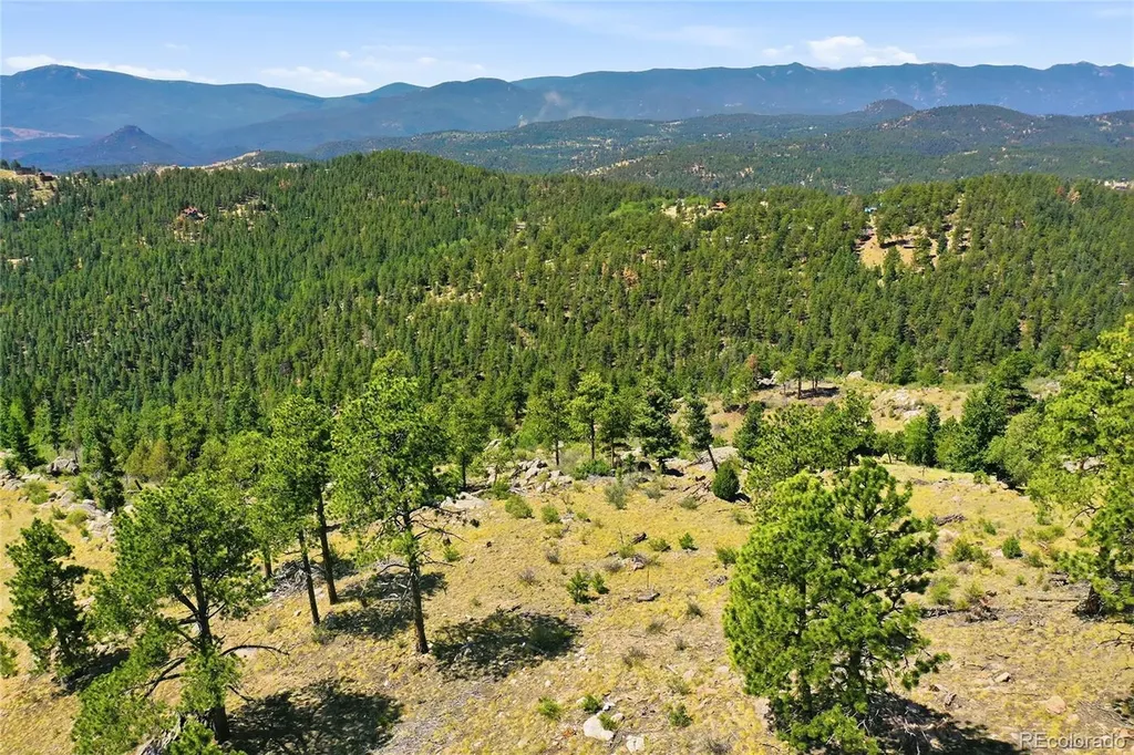 33550 Mount Wilson Road Pine CO 80470