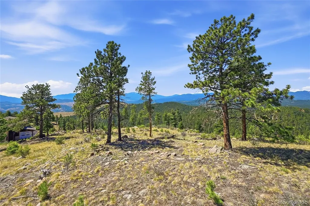 33550 Mount Wilson Road Pine CO 80470