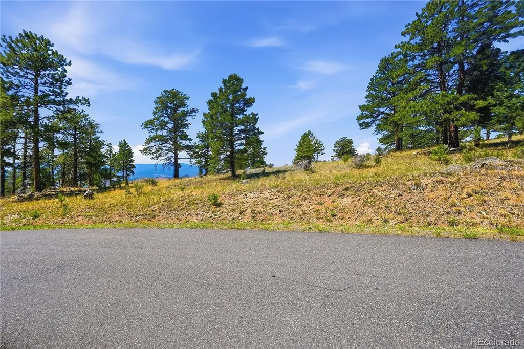 33550 Mount Wilson Road Pine CO 80470