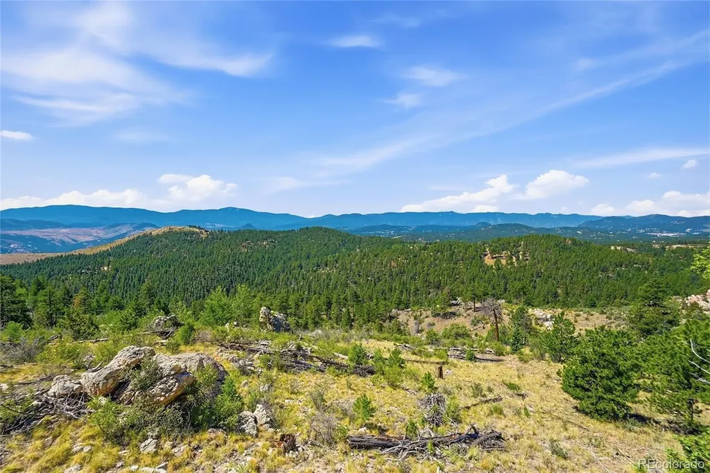 33550 Mount Wilson Road Pine CO 80470