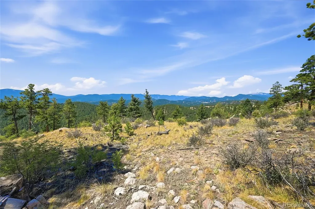 33550 Mount Wilson Road Pine CO 80470