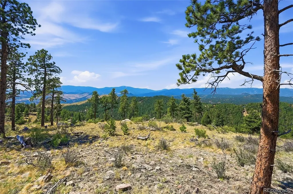 33550 Mount Wilson Road Pine CO 80470