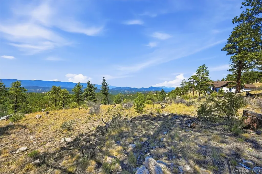 33550 Mount Wilson Road Pine CO 80470
