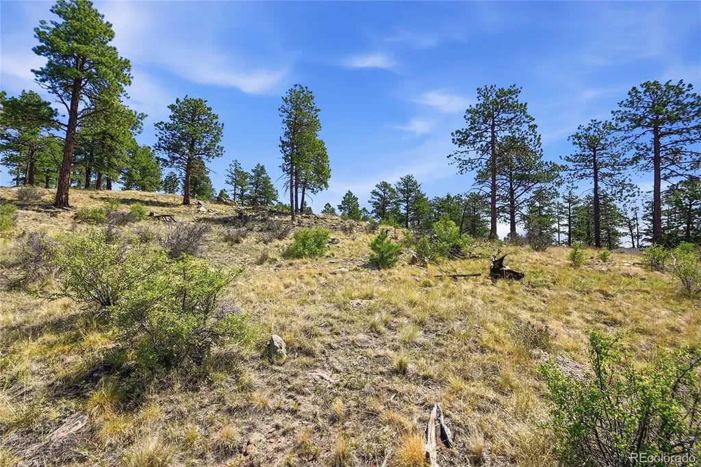 33550 Mount Wilson Road Pine CO 80470