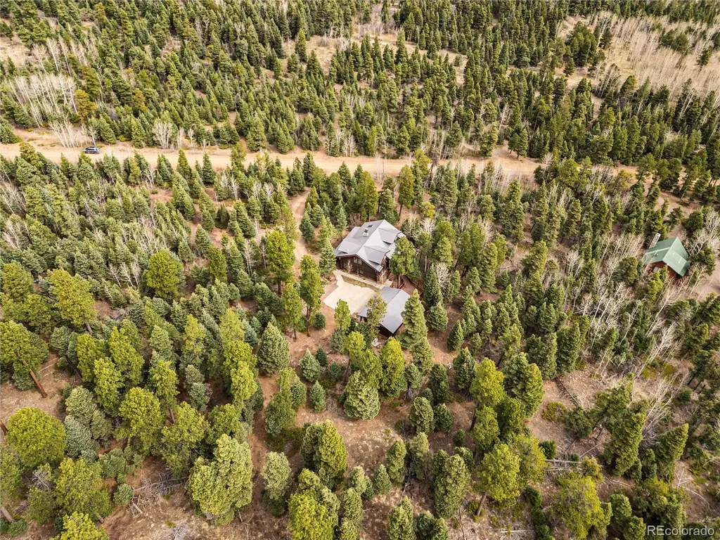 1614 Chalice Drive Westcliffe CO 81252
