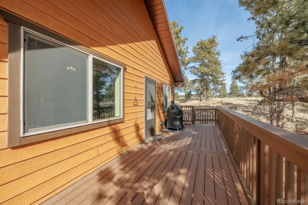 345 Meadow Lane Guffey CO 80820
