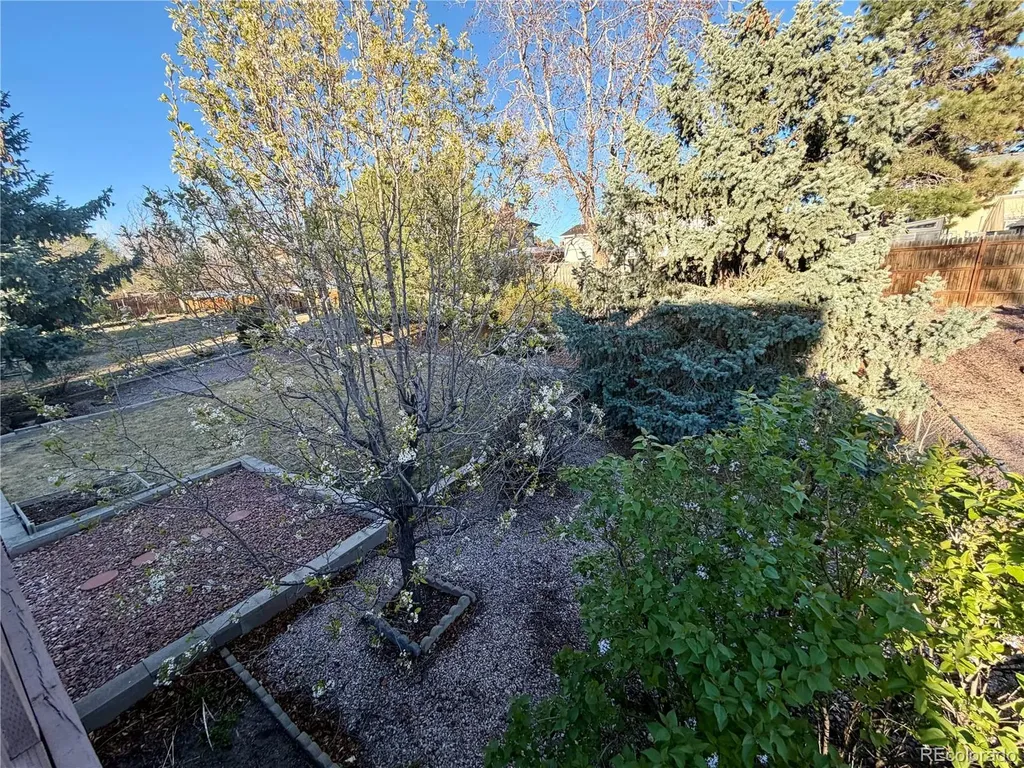 1527 Nokomis Drive Colorado Springs CO 80915