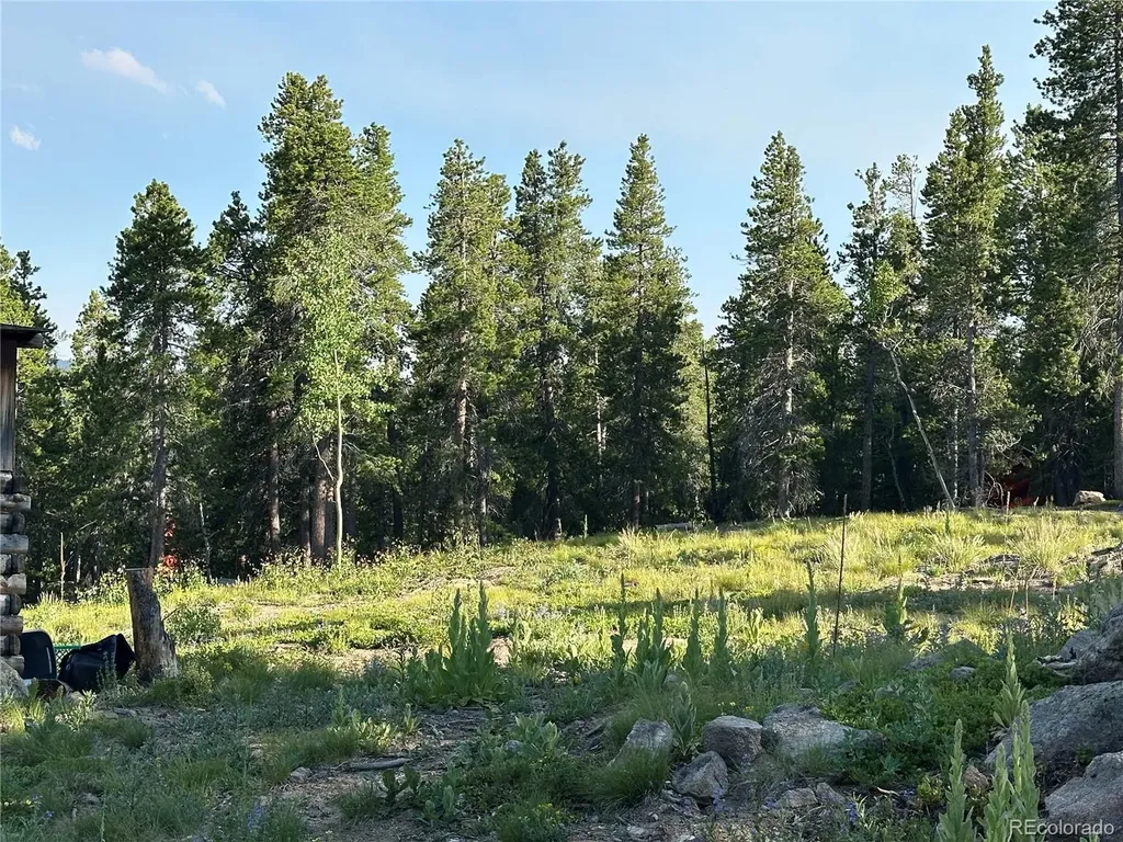 Mountain Meadows Black Hawk CO 80422