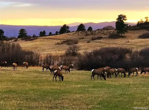 3208 Country Club Parkway Castle Rock CO 80108