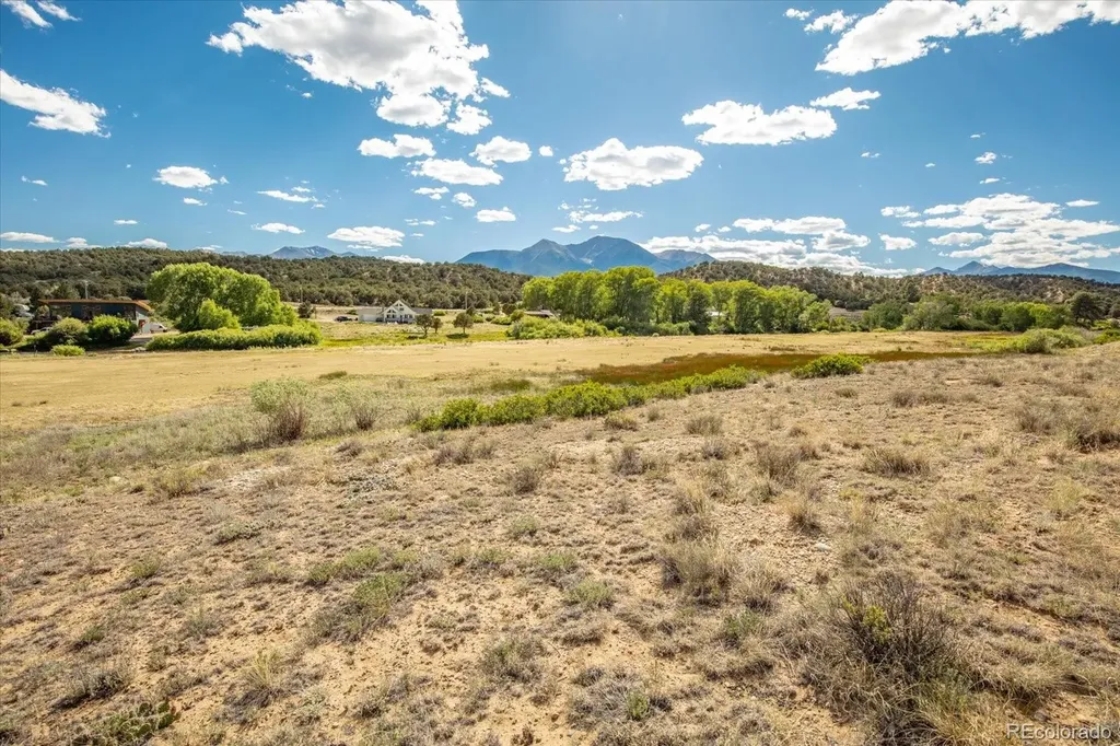24269 River Rock Lane Buena Vista CO 81211