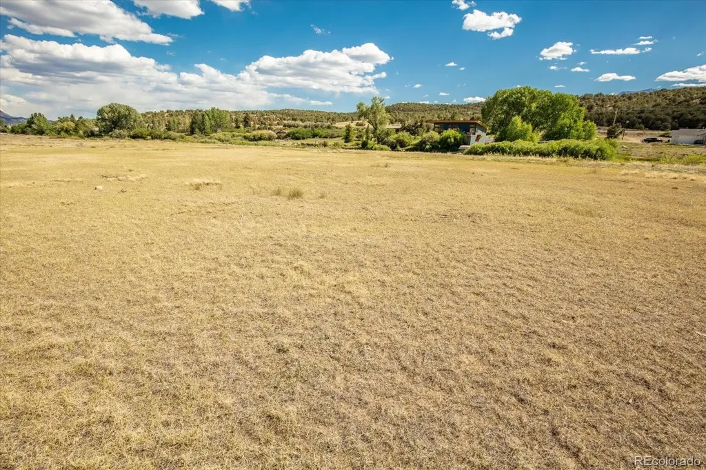 24269 River Rock Lane Buena Vista CO 81211