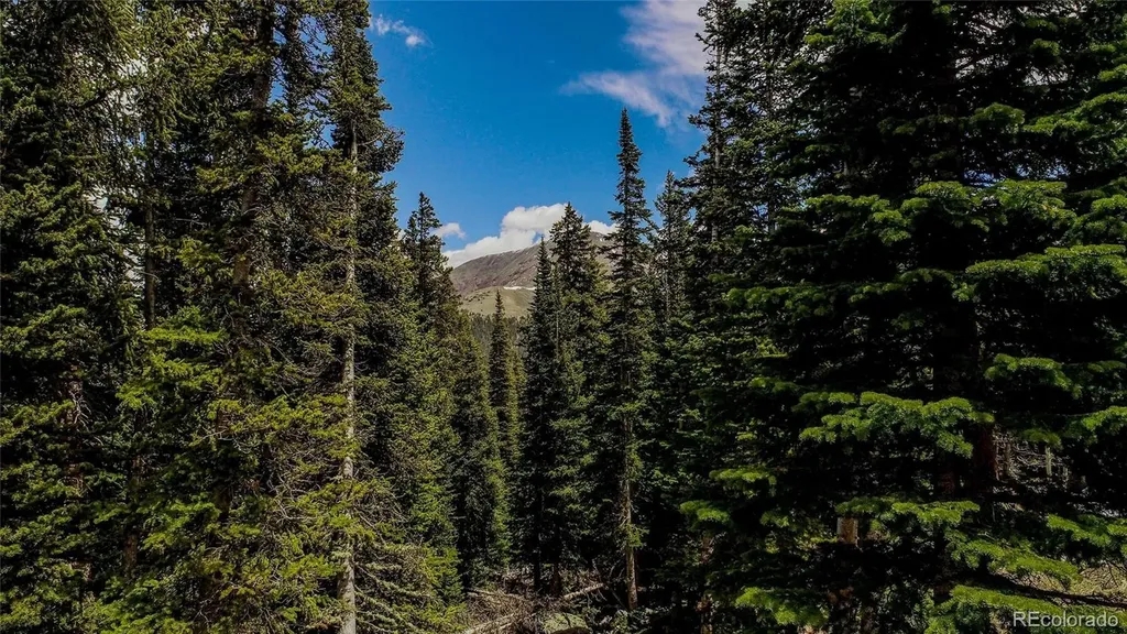 328 Quandary View Drive Breckenridge CO 80424