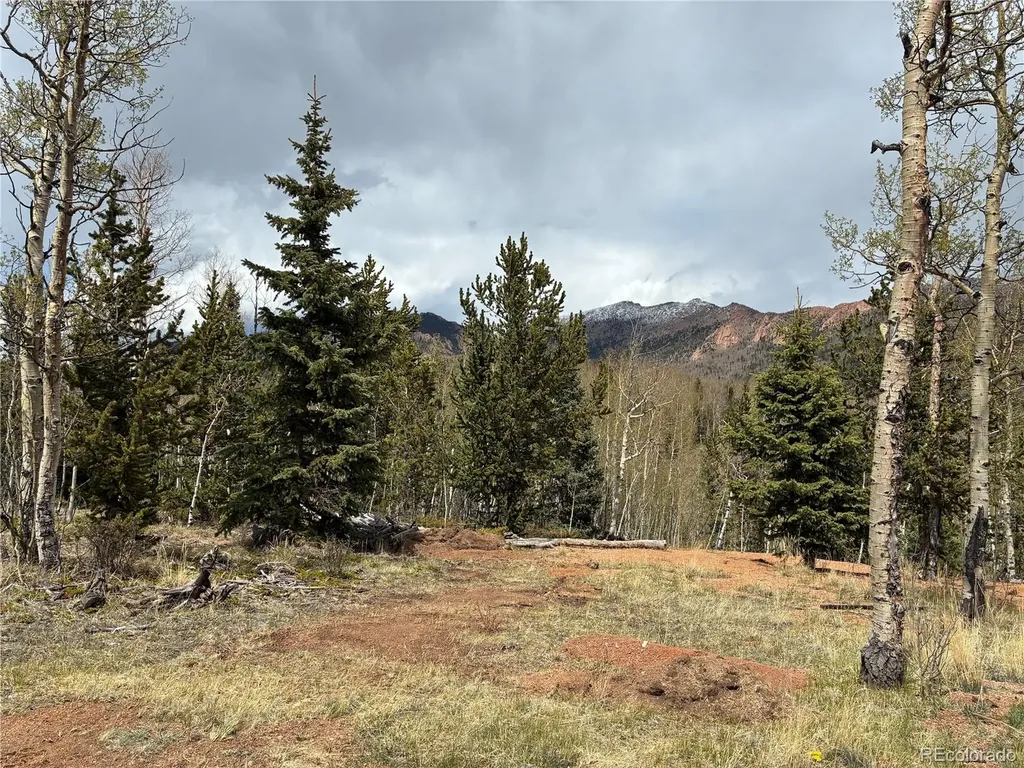 12201 S State Highway 67 Cripple Creek CO 80813