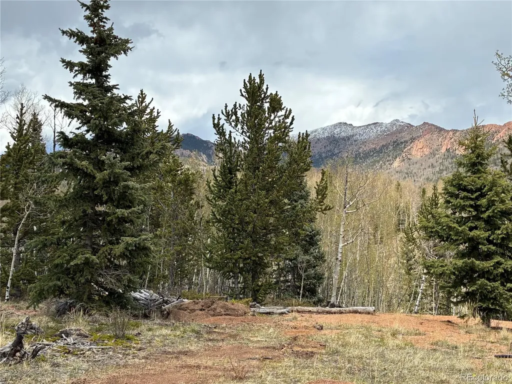 12201 S State Highway 67 Cripple Creek CO 80813