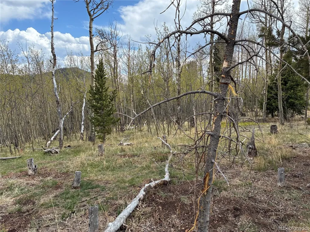 12201 S State Highway 67 Cripple Creek CO 80813