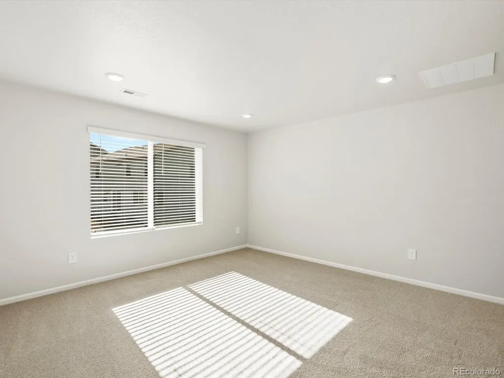 1656 Yampa River Drive Windsor CO 80550