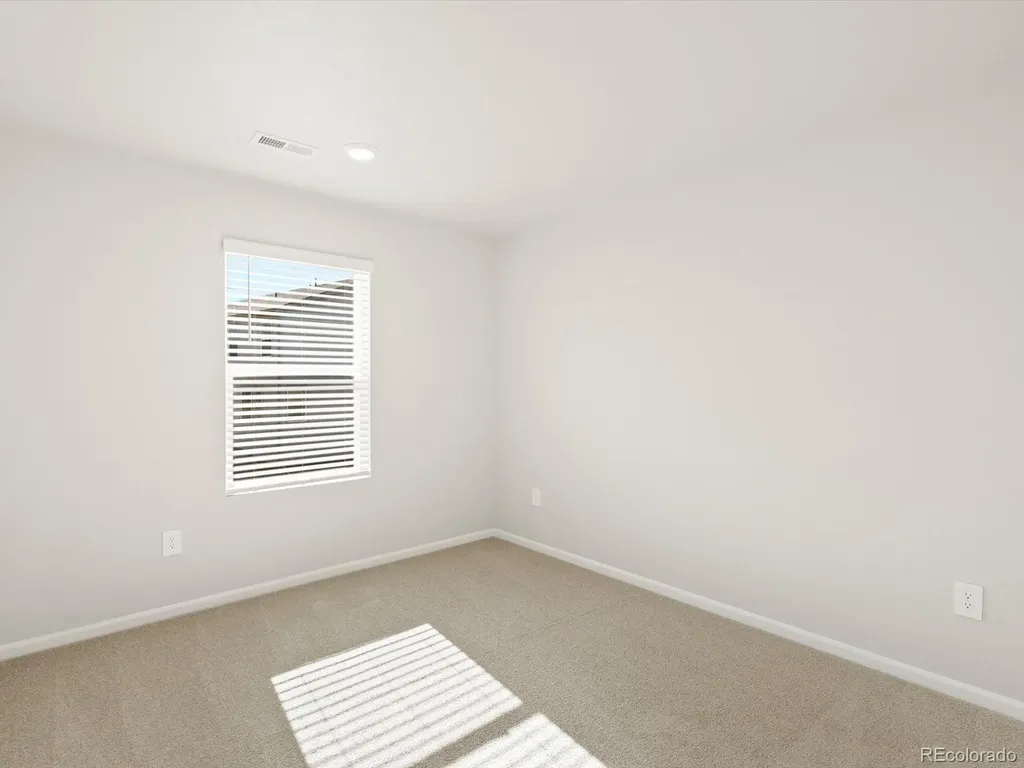 1656 Yampa River Drive Windsor CO 80550