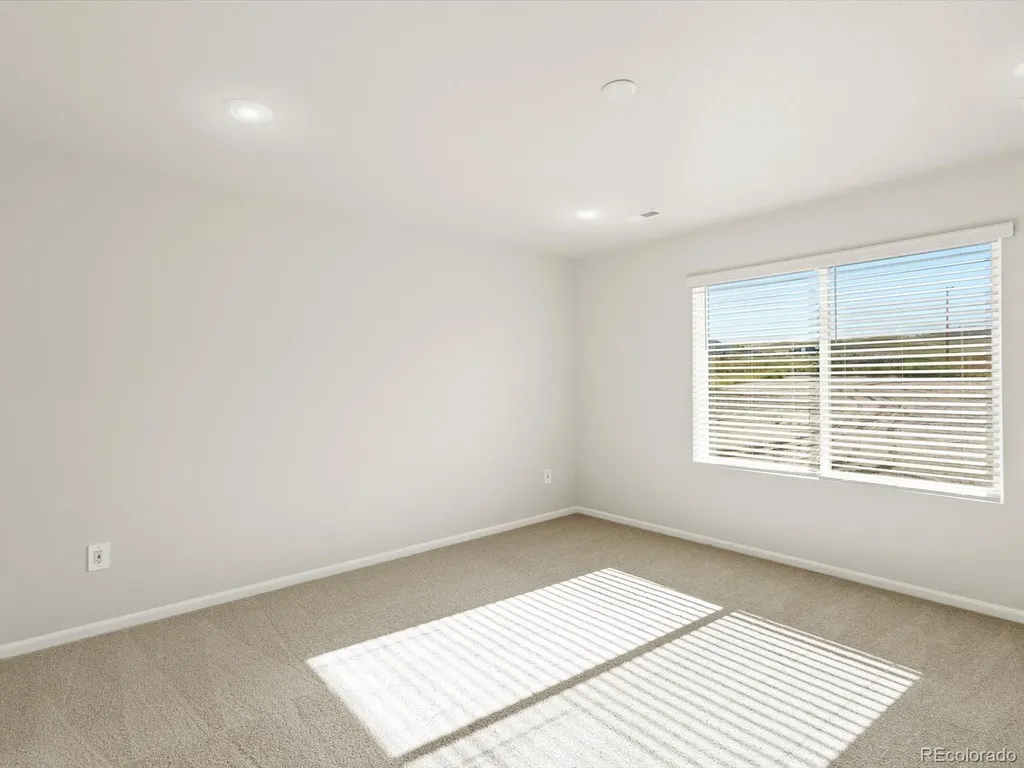 1656 Yampa River Drive Windsor CO 80550