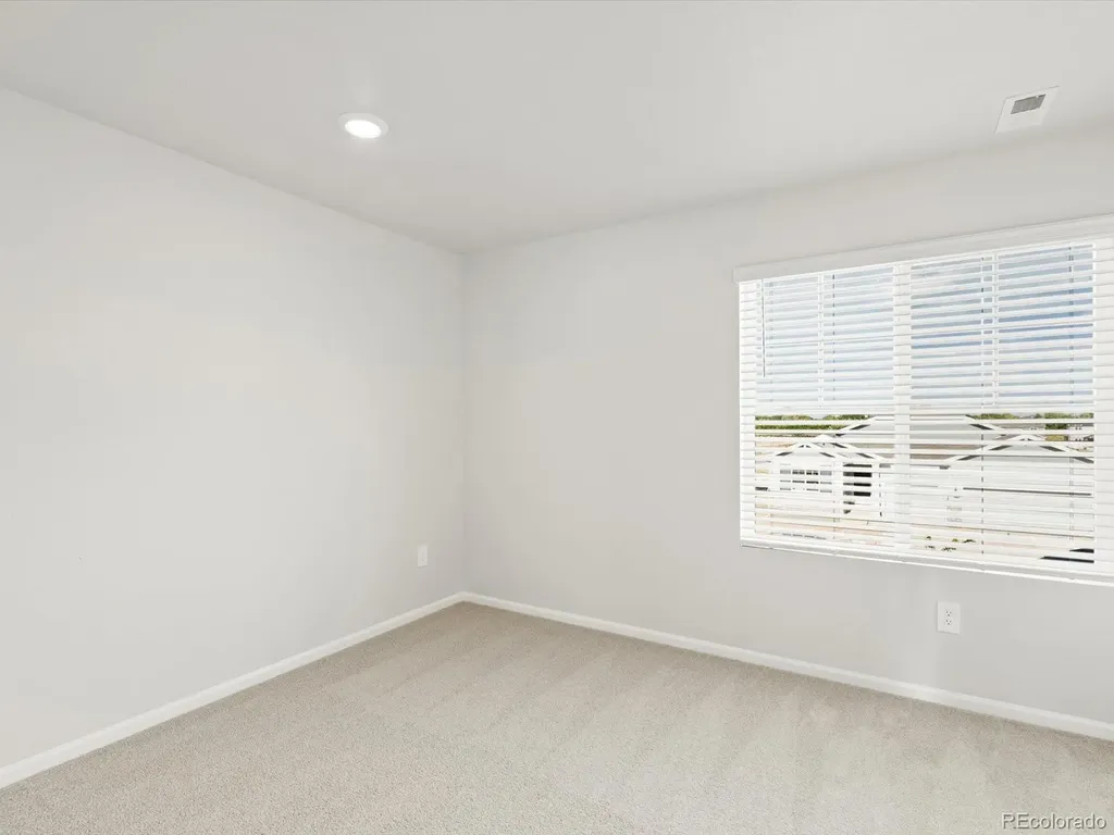 1656 Yampa River Drive Windsor CO 80550