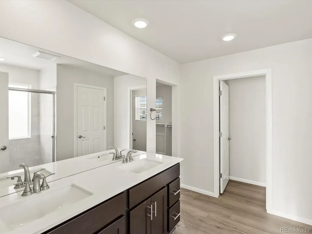 1656 Yampa River Drive Windsor CO 80550