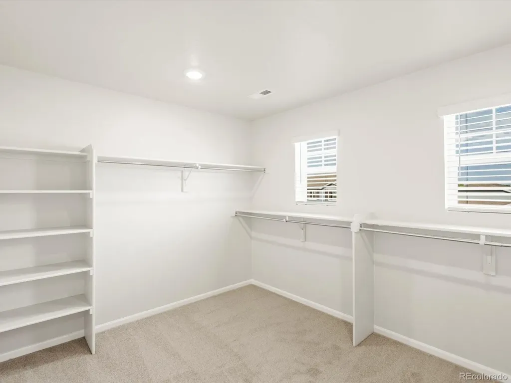 1656 Yampa River Drive Windsor CO 80550