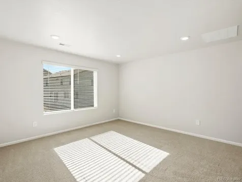 1656 Yampa River Drive Windsor CO 80550