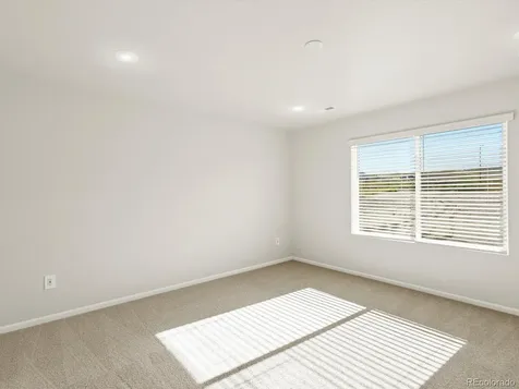 1656 Yampa River Drive Windsor CO 80550