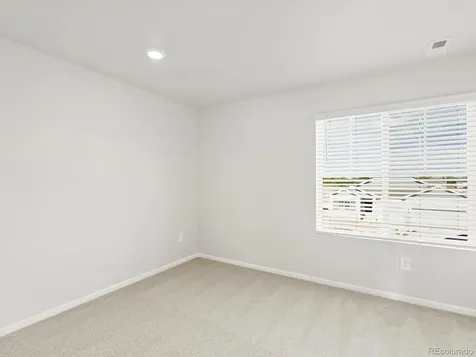 1656 Yampa River Drive Windsor CO 80550