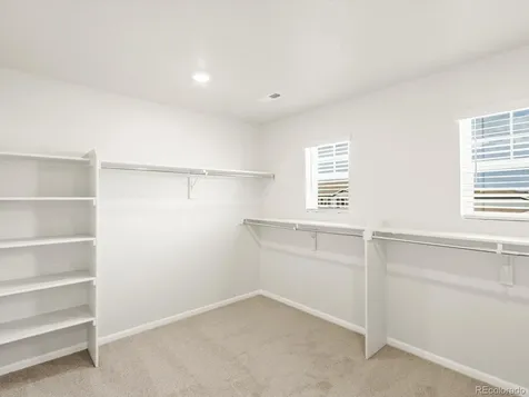 1656 Yampa River Drive Windsor CO 80550