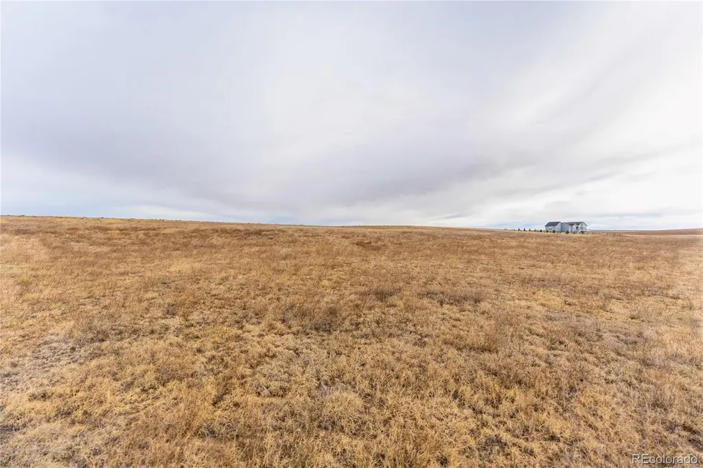 3235 Antelope Hill View Peyton CO 80831