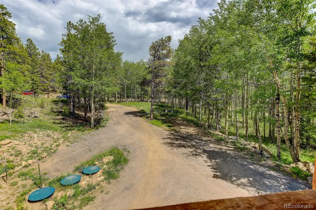 261 Pine Drive Black Hawk CO 80422