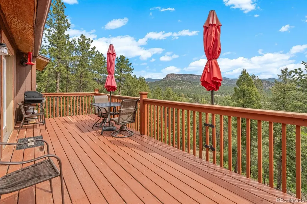 181 Catamount Ridge Road Bailey CO 80421