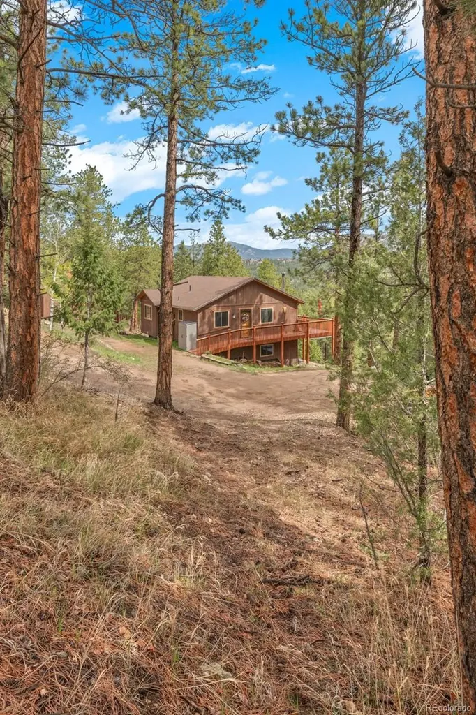 181 Catamount Ridge Road Bailey CO 80421